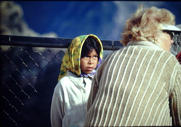 author : João Varela                    title: Wow, very nice! How much is it? Do you take AMEX?