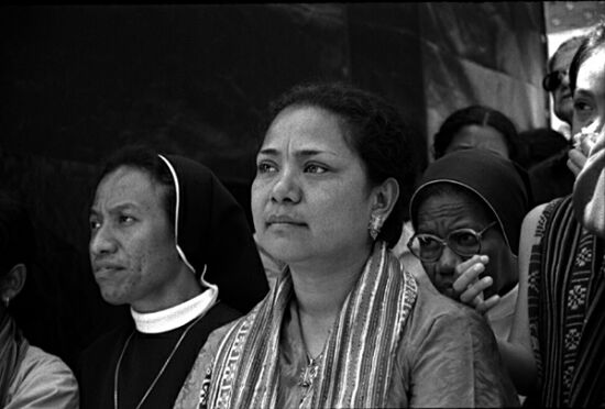 auteur : Sofia Quintas                    