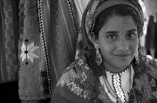 author : Sofia Quintas                    