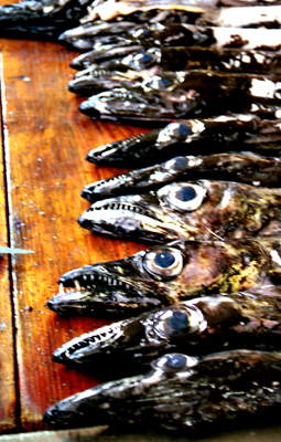 autor: João Varela
t&iacute;tulo: Espadas