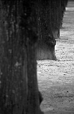 autor: Sofia Quintas