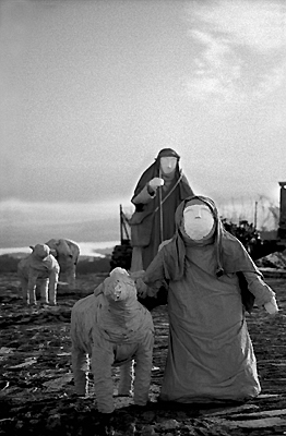 autor : Sofia Quintas                    