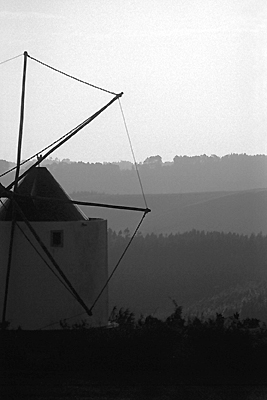 autor: Sofia Quintas