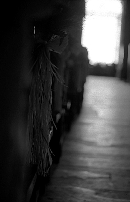 autor: Sofia Quintas