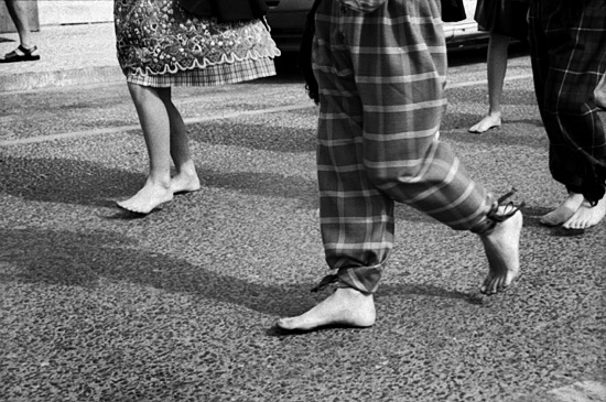 autor: paulo rodrigues