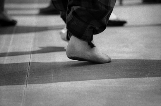 autor: paulo rodrigues