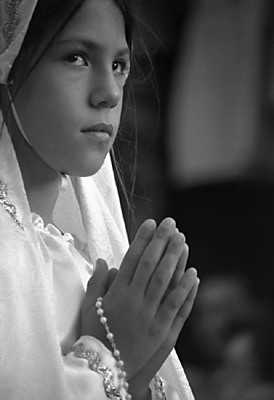 autor : Manuel Luís Cochofel                    