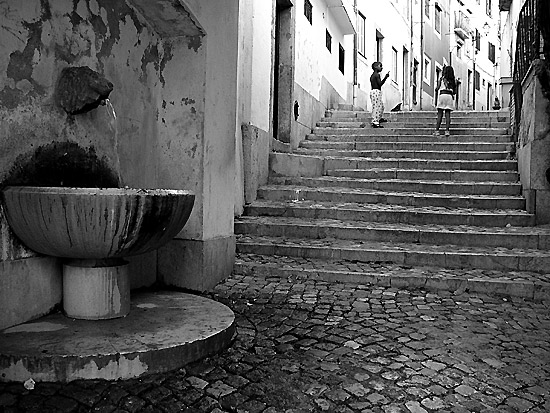 autor: Sofia Quintas