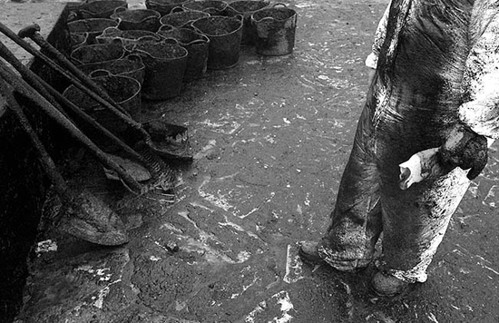 autor: João  Carvalho Pina