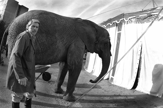 autor : Daniel Navarro                    