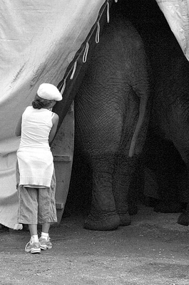 autor: Daniel Navarro