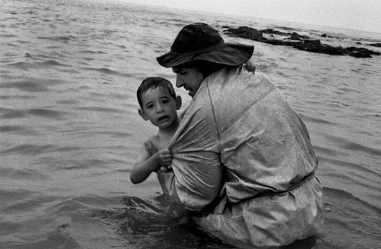 auteur : Paula Brilhante                    