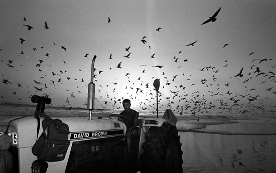 author : João Varela                    