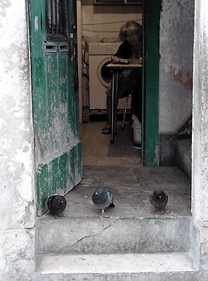 autor: Sofia Quintas