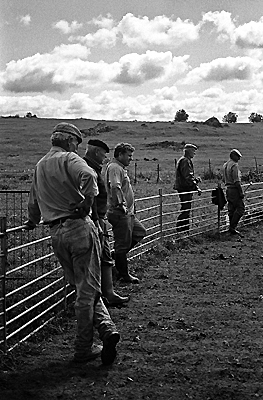 author: Sofia Quintas