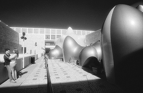 autor: Manuel Luís Cochofel