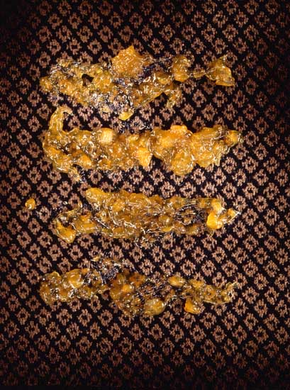 autor : Jeremy Webb                    t&iacute;tulo: jam on carpet