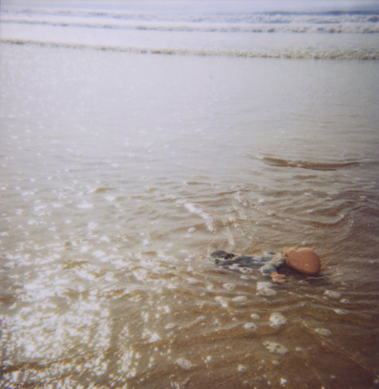 autor: paulo rodrigues