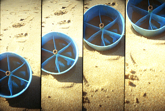 autor: Sofia Quintas