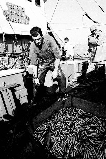 autor: Txomin  Txueka