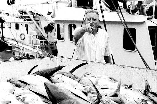 autor: Txomin  Txueka