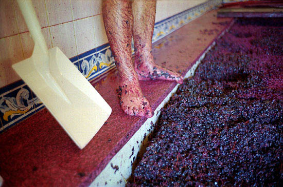 autor: José Gonçalves
t&iacute;tulo: Douro 13