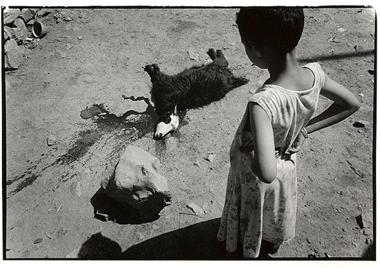 autor: Stefan Rohner
t&iacute;tulo: 17