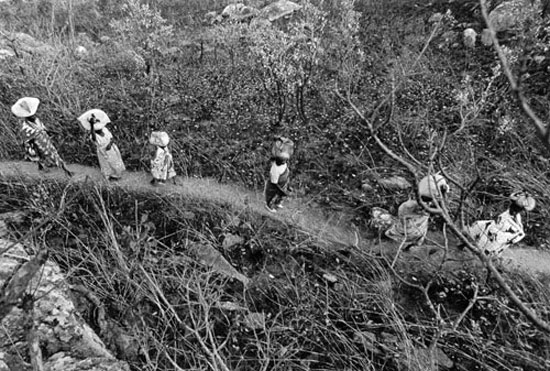 autor : Filipe Condado                    