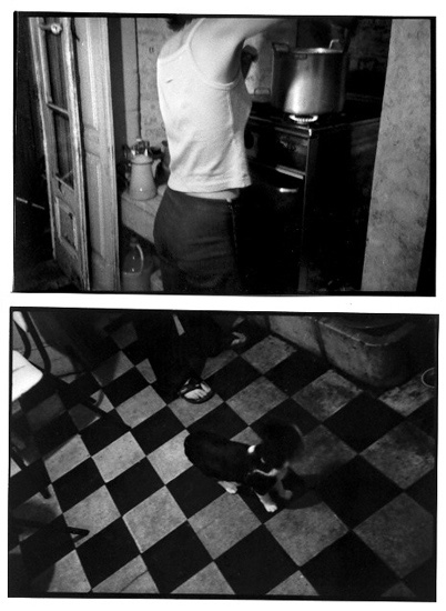 autor : Raquel Moura                    