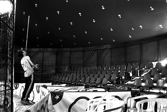 auteur: Sofia Quintas