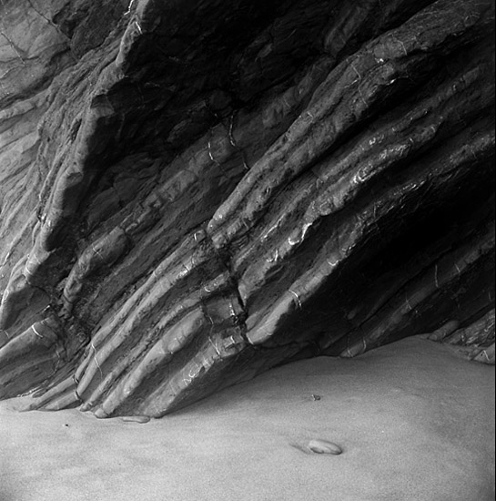 autor: Manuel Luís Cochofel