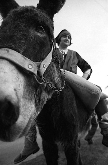 author: Manuel Luís Cochofel