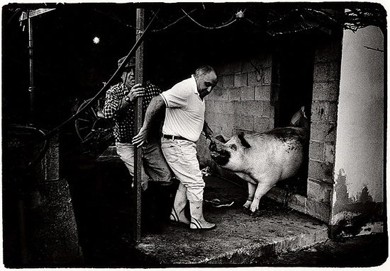 autor: Stefan Rohner
t&iacute;tulo: 2