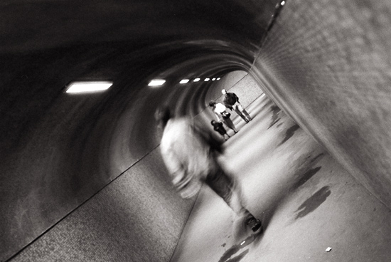 auteur : José Gonçalves                    titre: Entrada