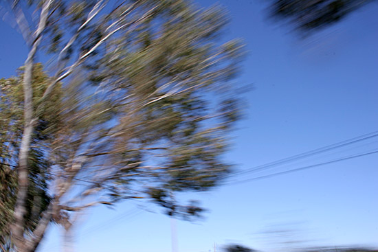 autor: Sofia Quintas