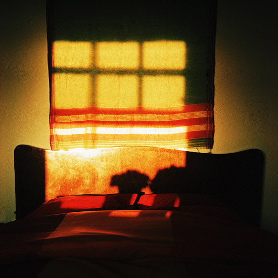 autor: Catarina Costa Cabral