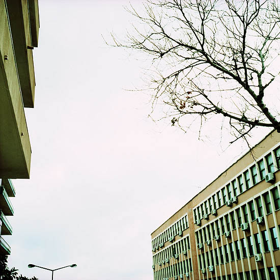 autor: Catarina Costa Cabral