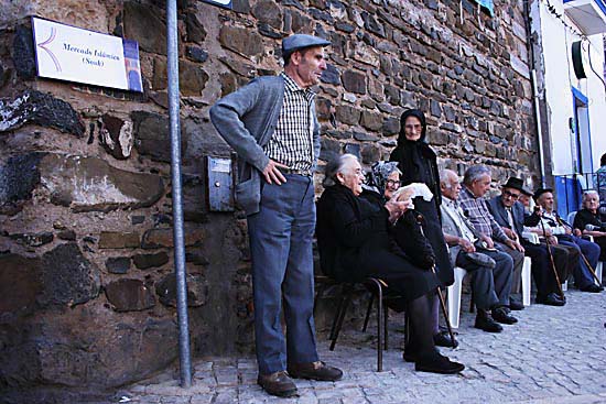 autor: Sofia Quintas