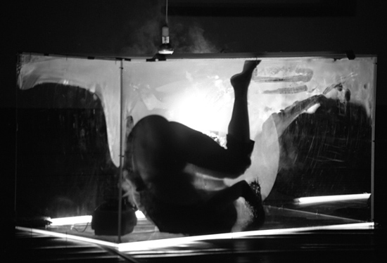 autor: Manuel Luís Cochofel