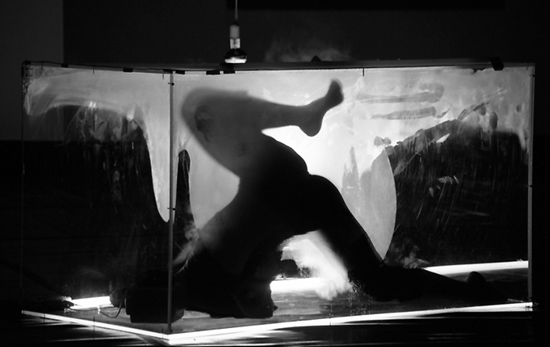 author : Manuel Luís Cochofel                    