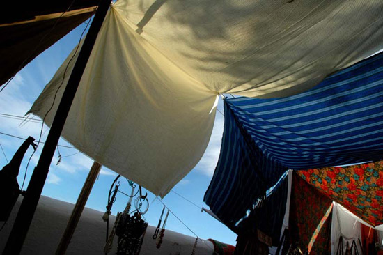 author: Patricia Moreira