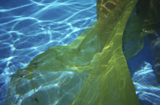 autor: Casimira Matos