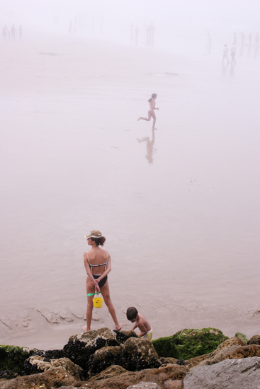 autor: Sofia Quintas