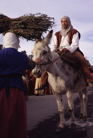 autor: paulo rodrigues