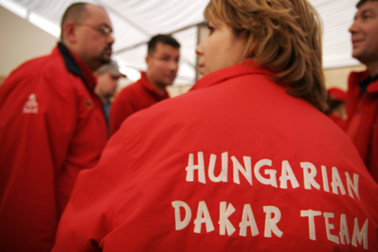 autor: Sofia Quintas