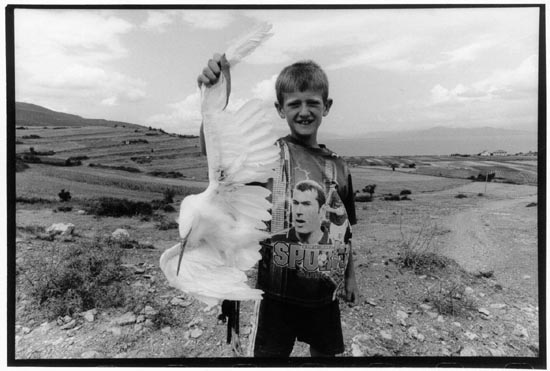 autor: Yves Rousselet
t&iacute;tulo: Lini été 2005