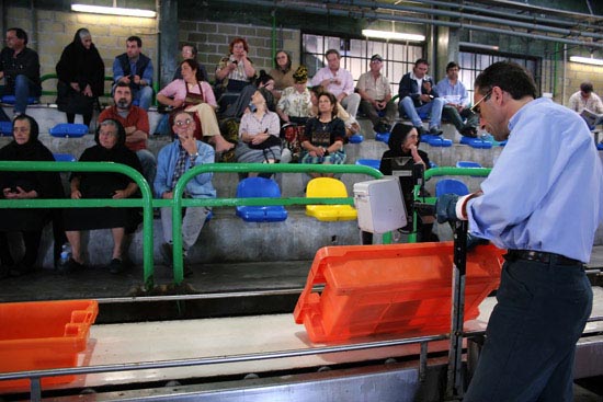 autor: Sofia Quintas