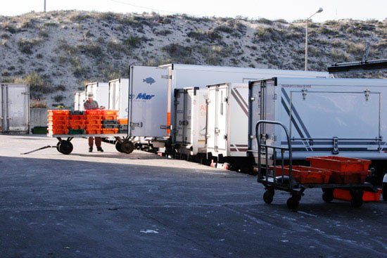 autor: Sofia Quintas