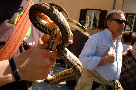 auteur: Patricia Moreira