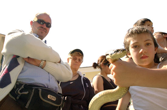 auteur: Patricia Moreira